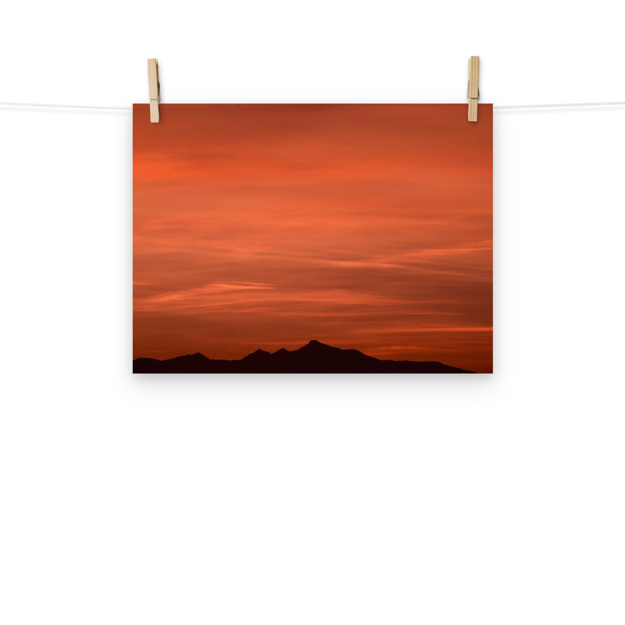 enhanced-matte-paper-poster-(in)-12x16-front-65ef8cb9e74b3.jpg
