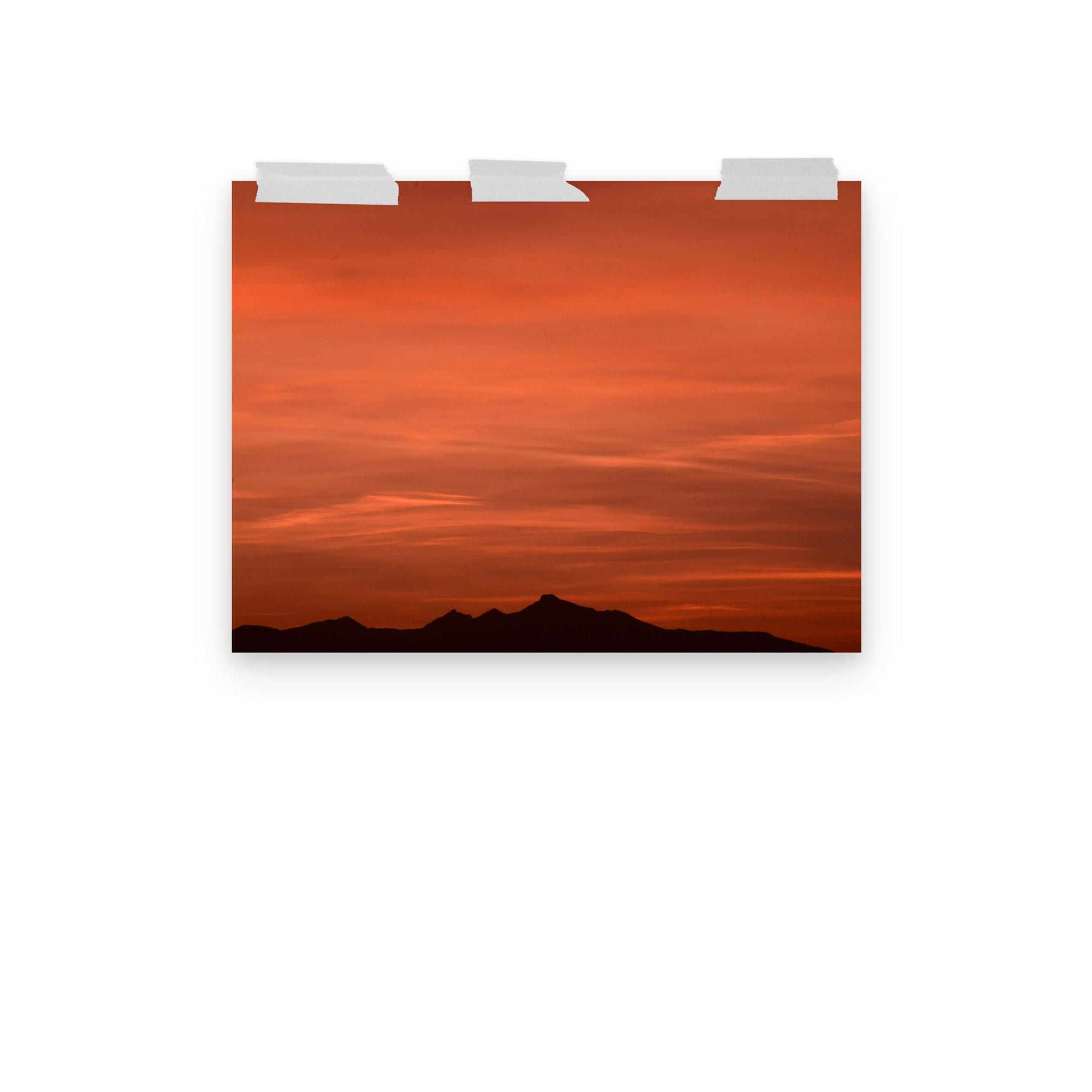 enhanced-matte-paper-poster-(in)-12x16-front-3-65ef8cb9e7527.jpg