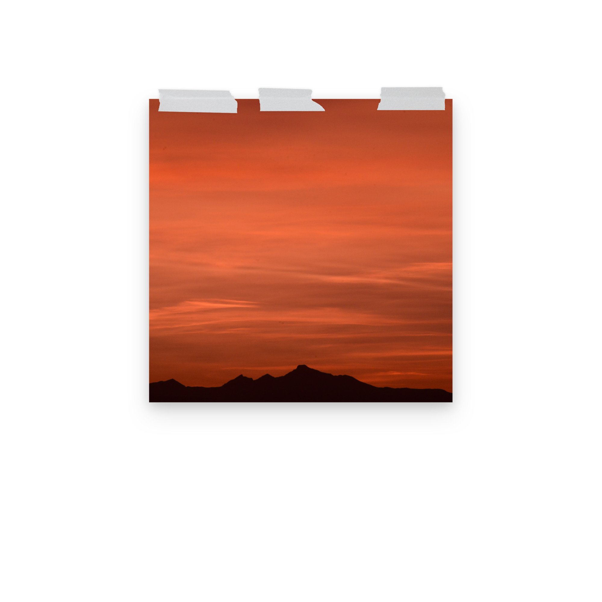 enhanced-matte-paper-poster-(in)-14x14-front-3-65ef8cb9e76db.jpg