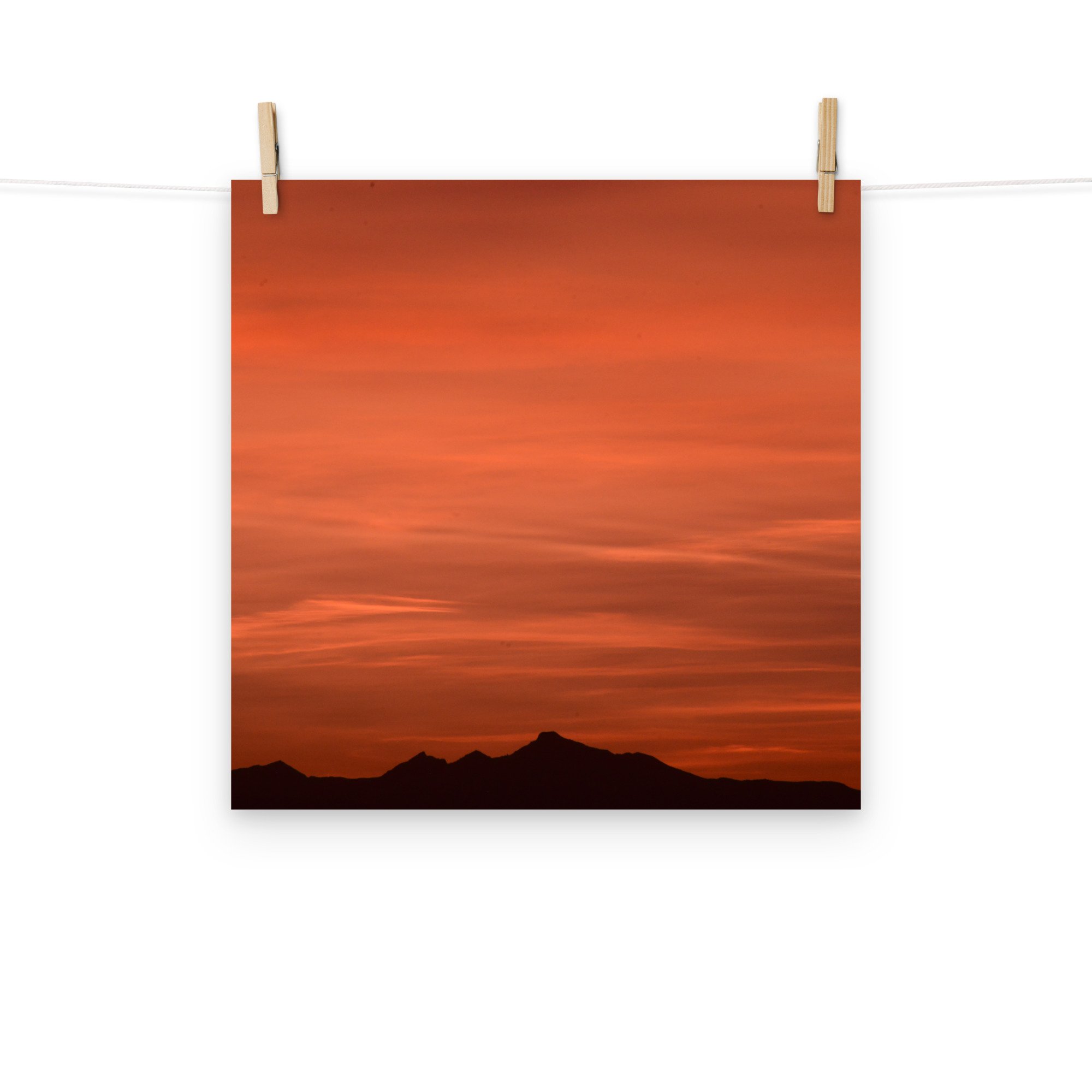 enhanced-matte-paper-poster-(in)-16x16-front-65ef8cb9e773f.jpg