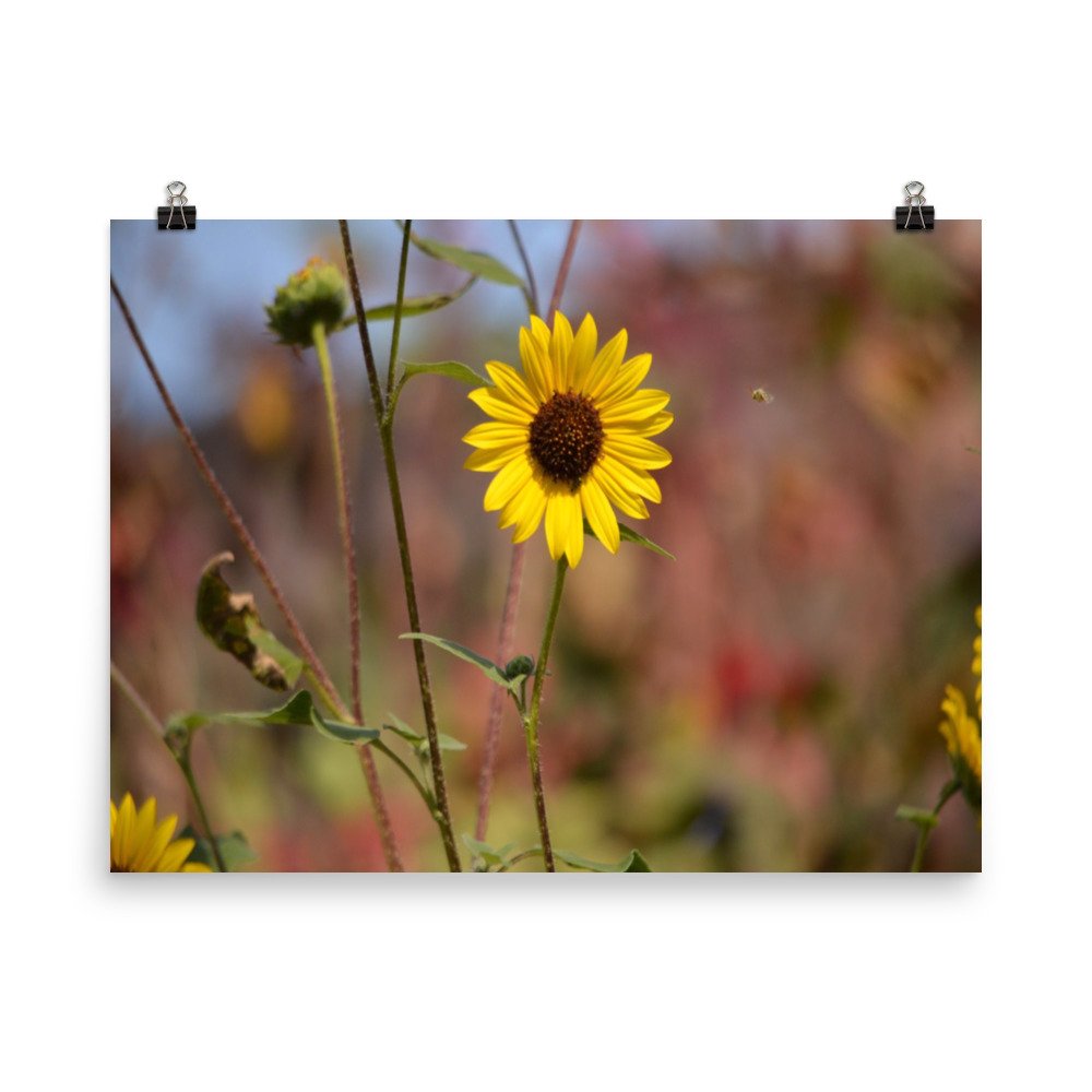 enhanced-matte-paper-poster-(in)-18x24-transparent-65ef8d52d4e99.jpg
