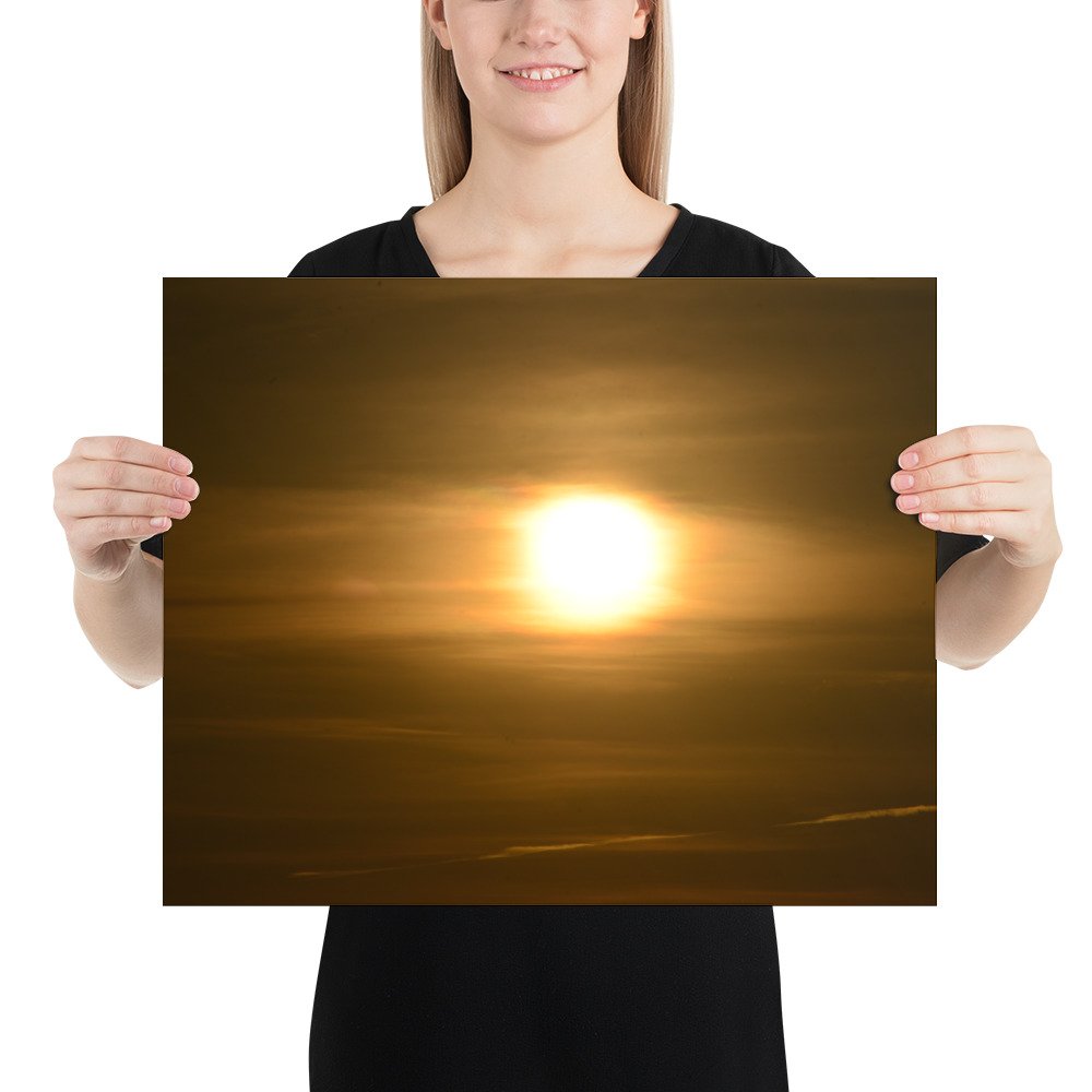 enhanced-matte-paper-poster-(in)-16x20-person-65ef8dbadcdda.jpg
