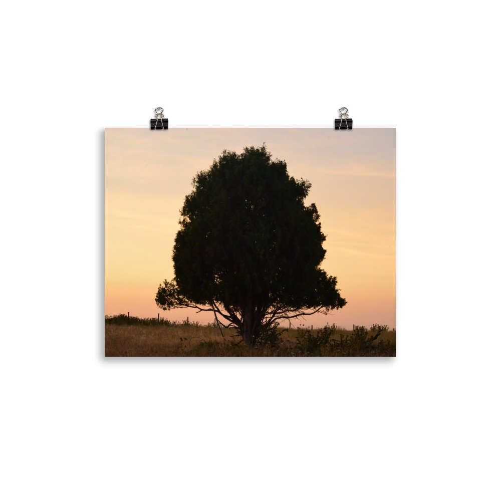 enhanced-matte-paper-poster-(in)-11x14-transparent-65ef8e3ef2474.jpg