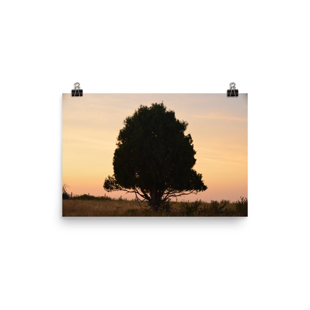 enhanced-matte-paper-poster-(in)-12x18-transparent-65ef8e3ef26e2.jpg