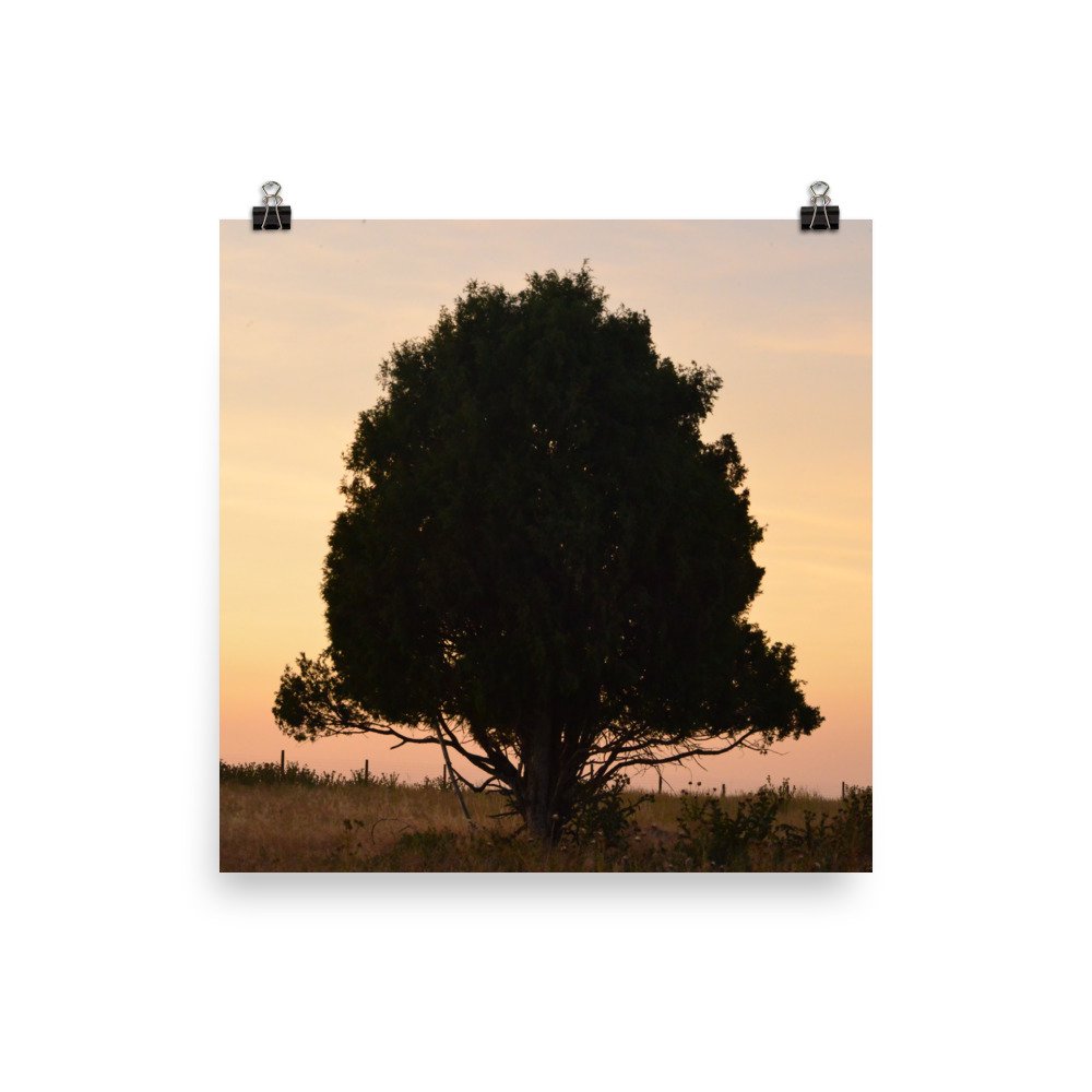 enhanced-matte-paper-poster-(in)-16x16-transparent-65ef8e3ef284e.jpg