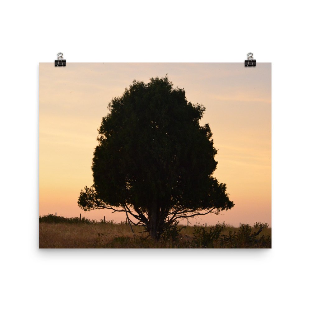 enhanced-matte-paper-poster-(in)-16x20-transparent-65ef8e3ef290b.jpg