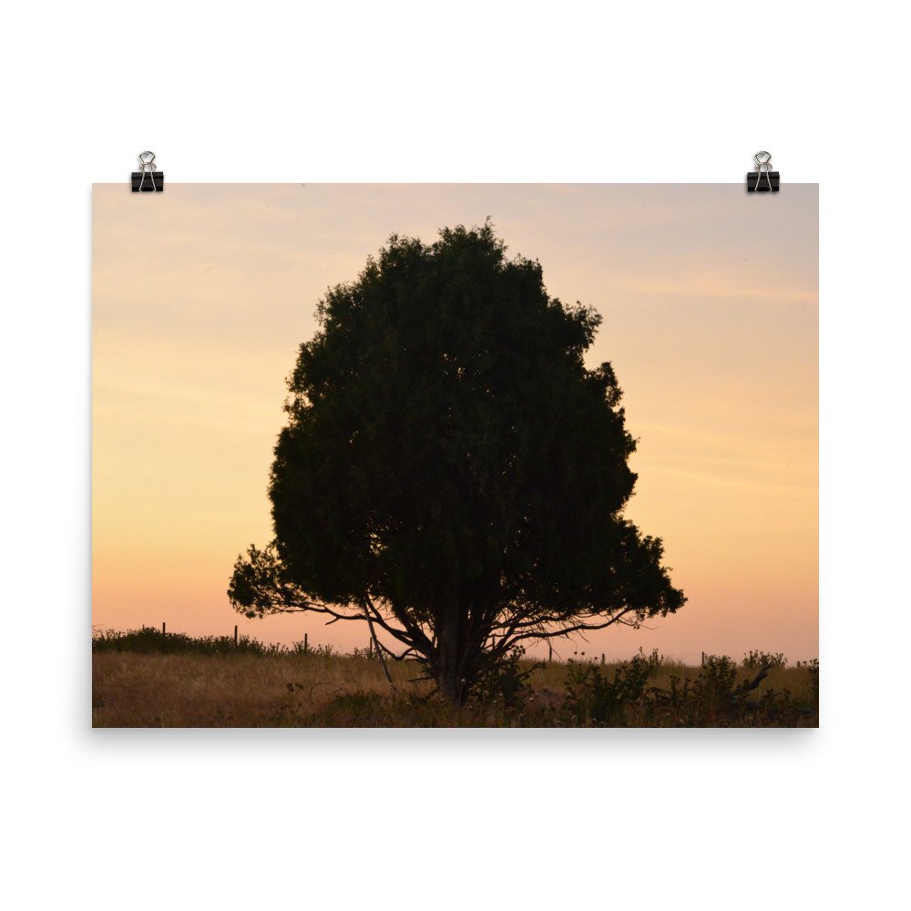 enhanced-matte-paper-poster-(in)-18x24-transparent-65ef8e3ef2a5d.jpg