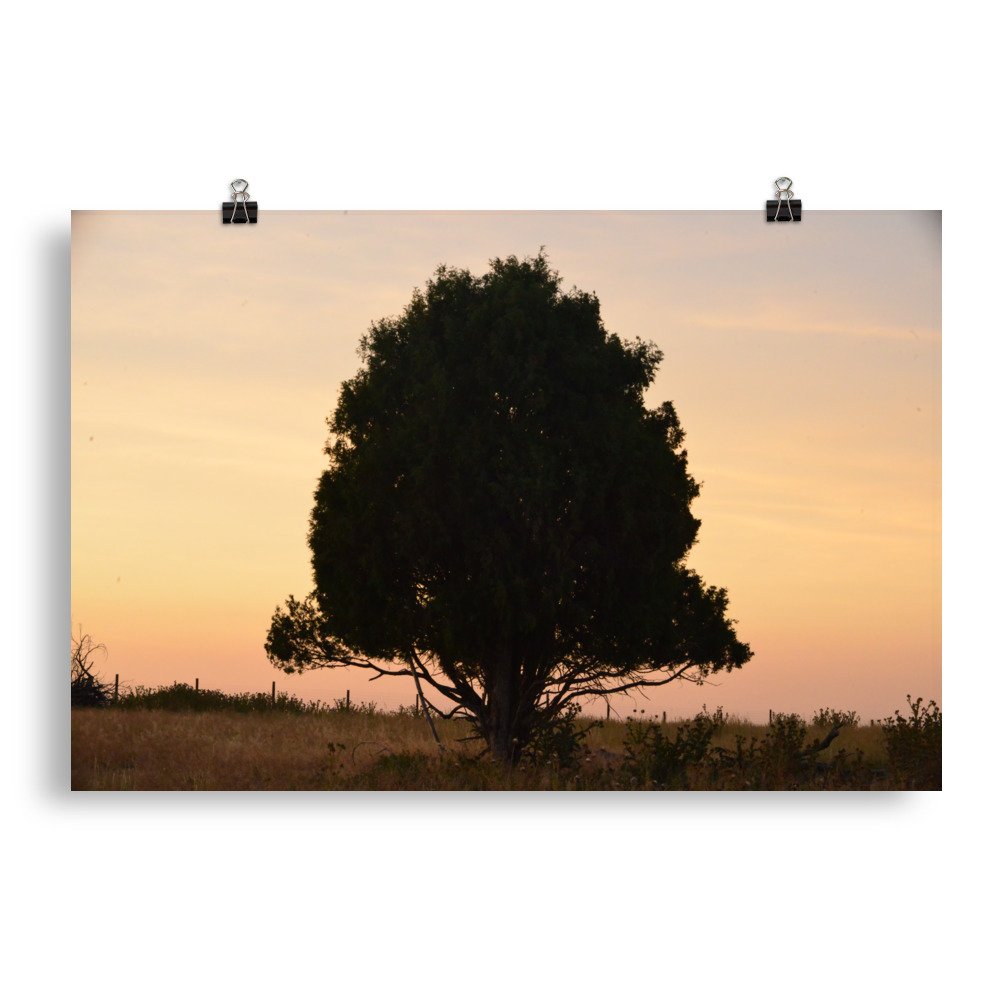 enhanced-matte-paper-poster-(in)-20x30-transparent-65ef8e3ef2ad8.jpg