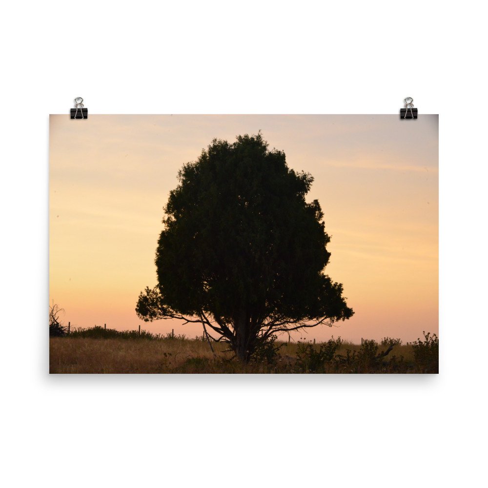enhanced-matte-paper-poster-(in)-24x36-transparent-65ef8e3ef2b4a.jpg