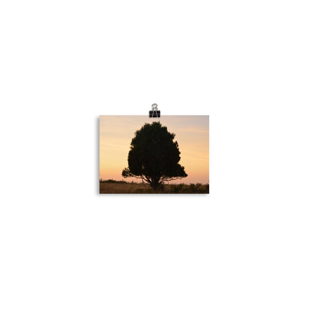 enhanced-matte-paper-poster-(in)-5x7-transparent-65ef8e3ef2bf1.jpg