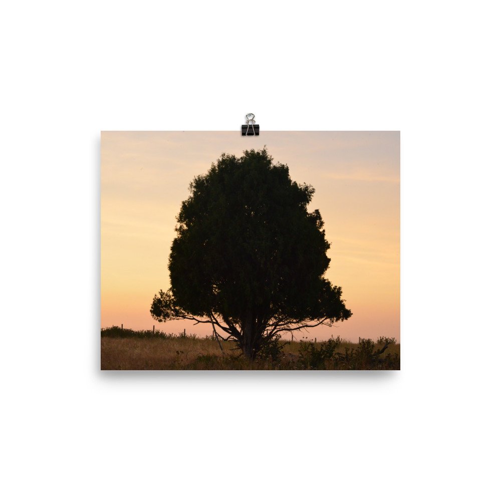 enhanced-matte-paper-poster-(in)-8x10-transparent-65ef8e3ef2cb7.jpg