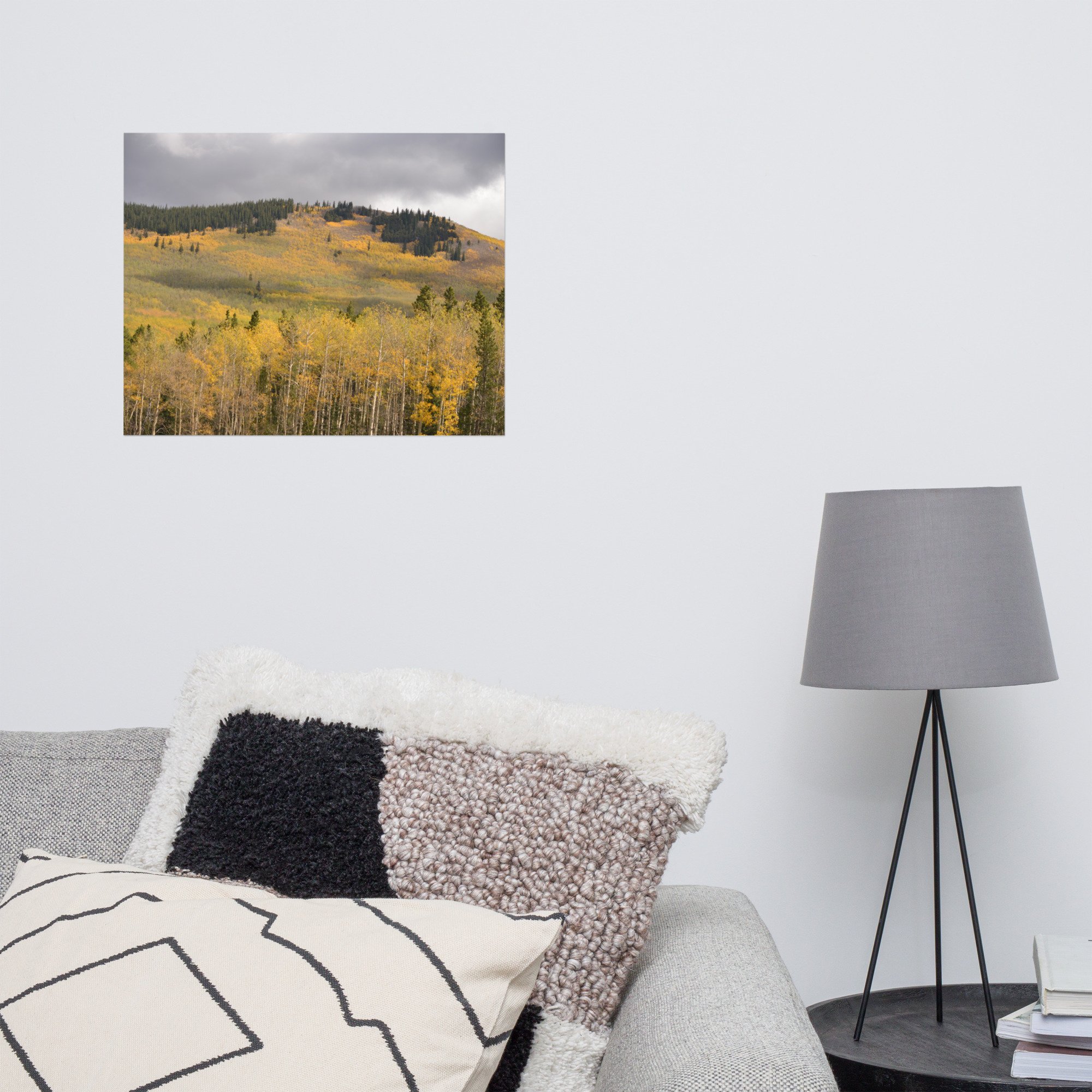 enhanced-matte-paper-poster-(in)-16x20-front-65ef8ea5bc48e.jpg