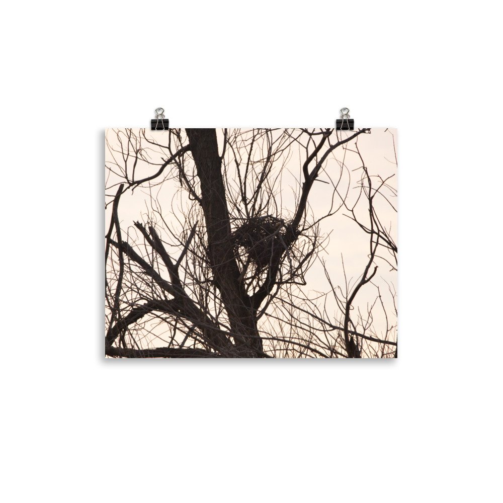 enhanced-matte-paper-poster-(in)-11x14-transparent-65ef8f1edcf5e.jpg