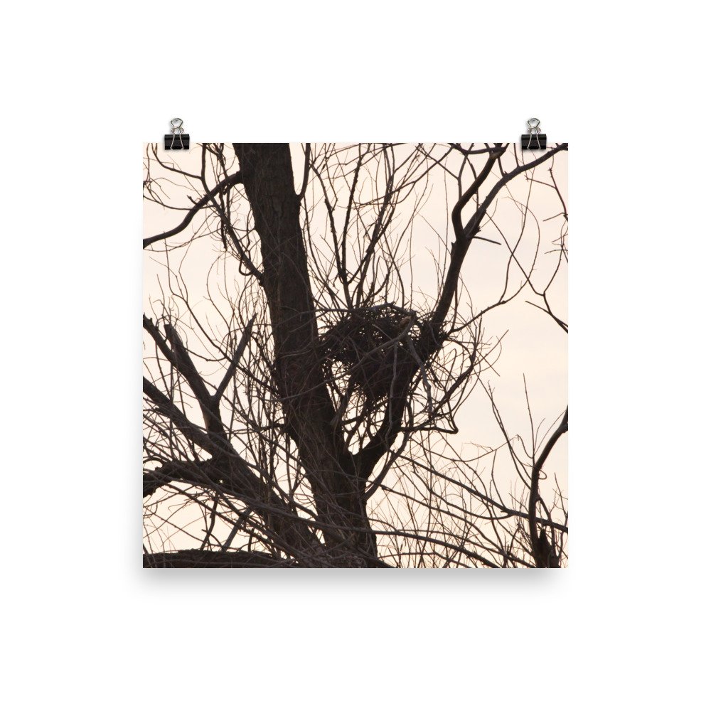enhanced-matte-paper-poster-(in)-12x12-transparent-65ef8f1edd055.jpg