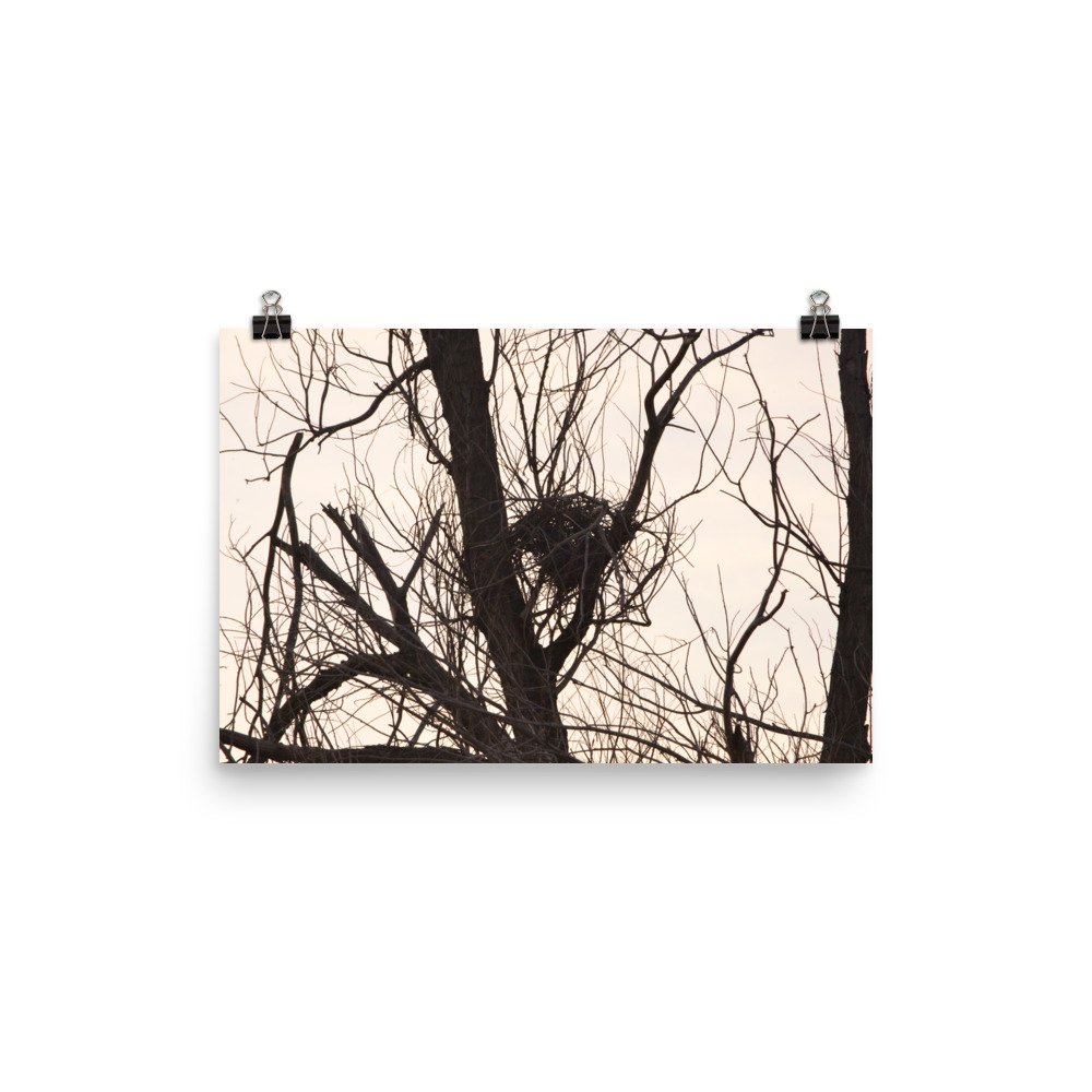 enhanced-matte-paper-poster-(in)-12x18-transparent-65ef8f1edd20b.jpg