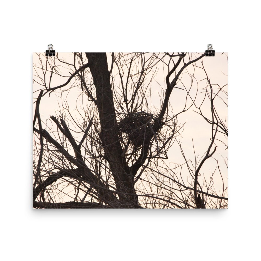 enhanced-matte-paper-poster-(in)-16x20-transparent-65ef8f1edd46f.jpg