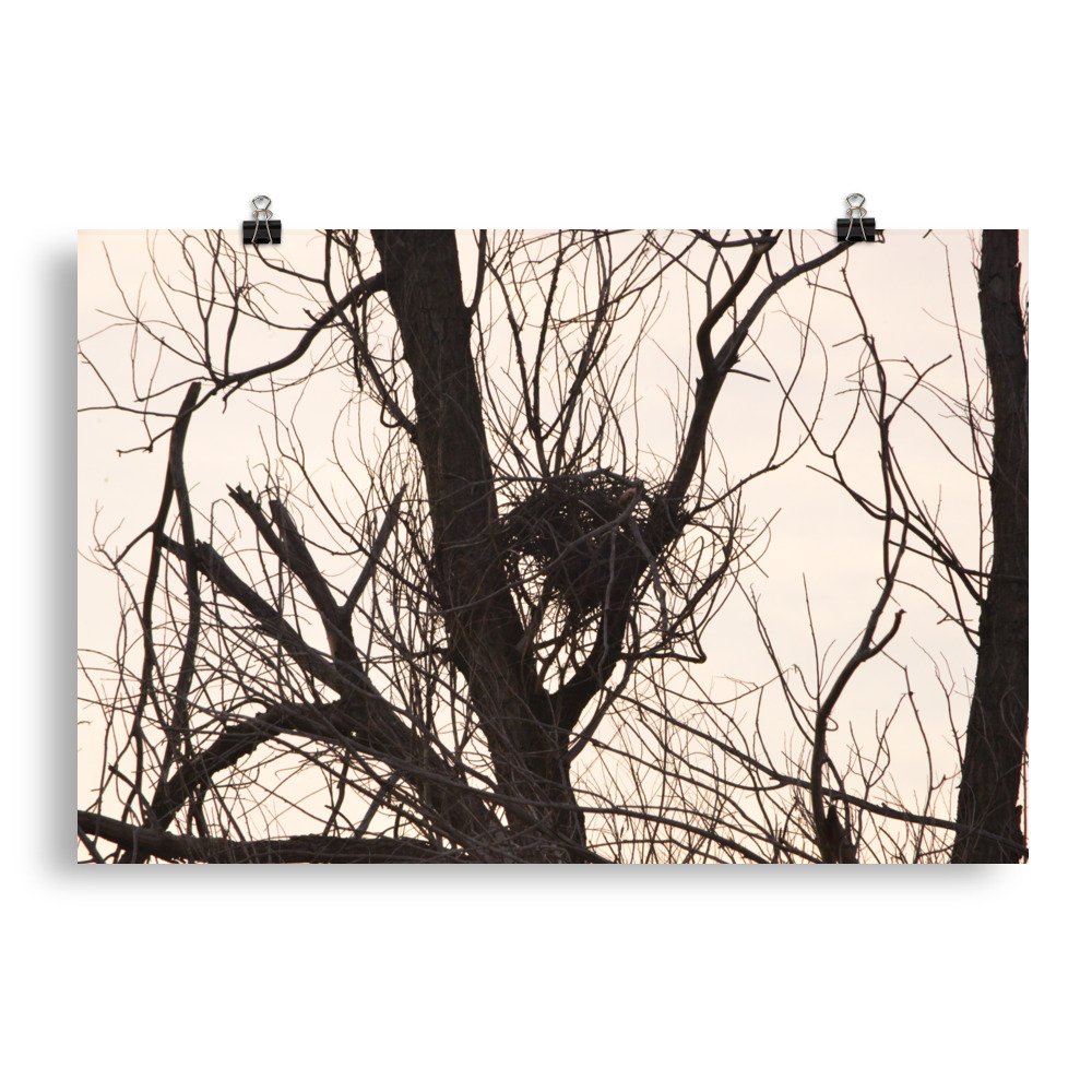 enhanced-matte-paper-poster-(in)-20x30-transparent-65ef8f1edd6d9.jpg