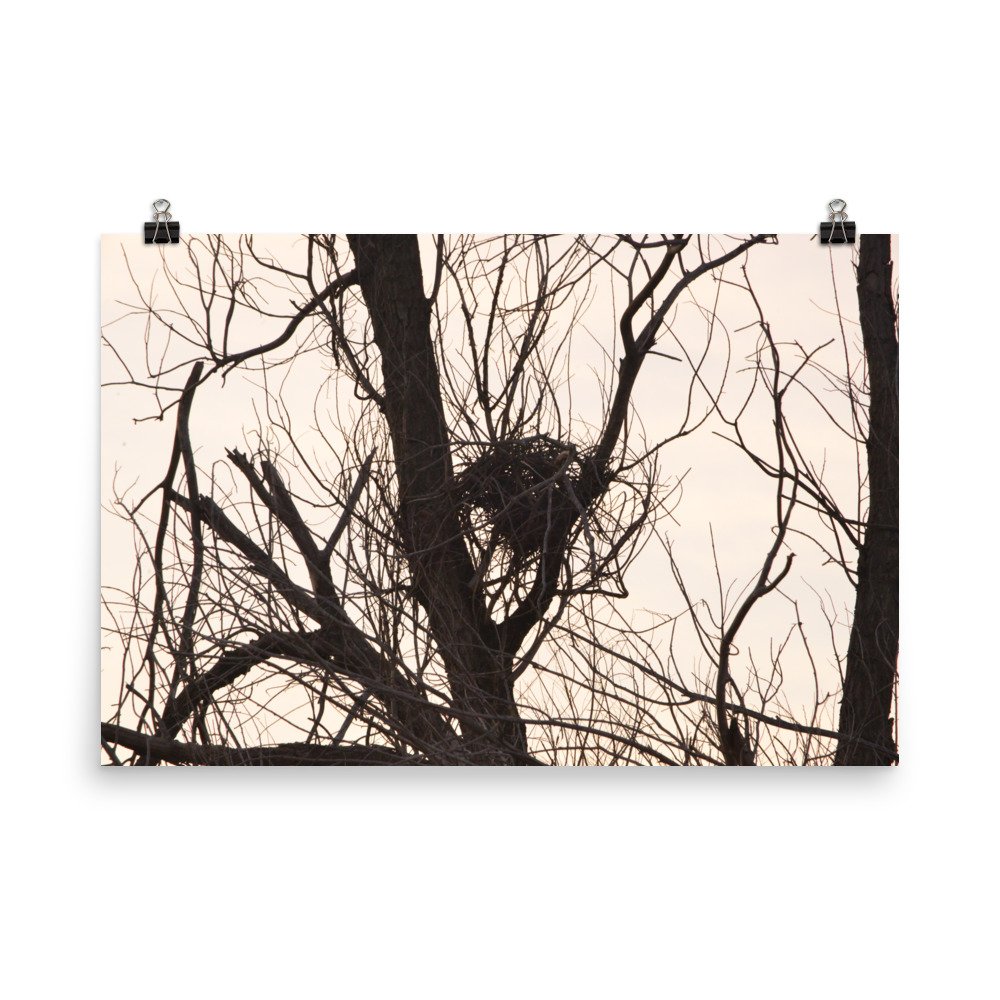 enhanced-matte-paper-poster-(in)-24x36-transparent-65ef8f1edd799.jpg