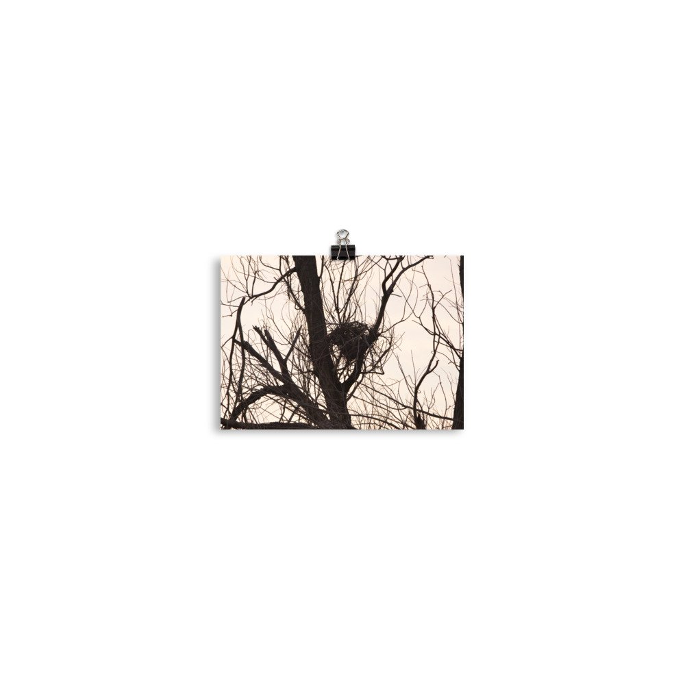 enhanced-matte-paper-poster-(in)-5x7-transparent-65ef8f1edd863.jpg