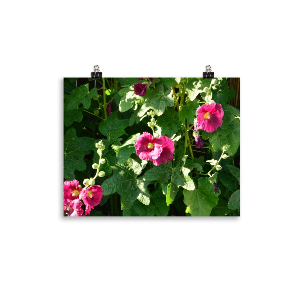 enhanced-matte-paper-poster-(in)-11x14-transparent-65ef9127613ca.jpg
