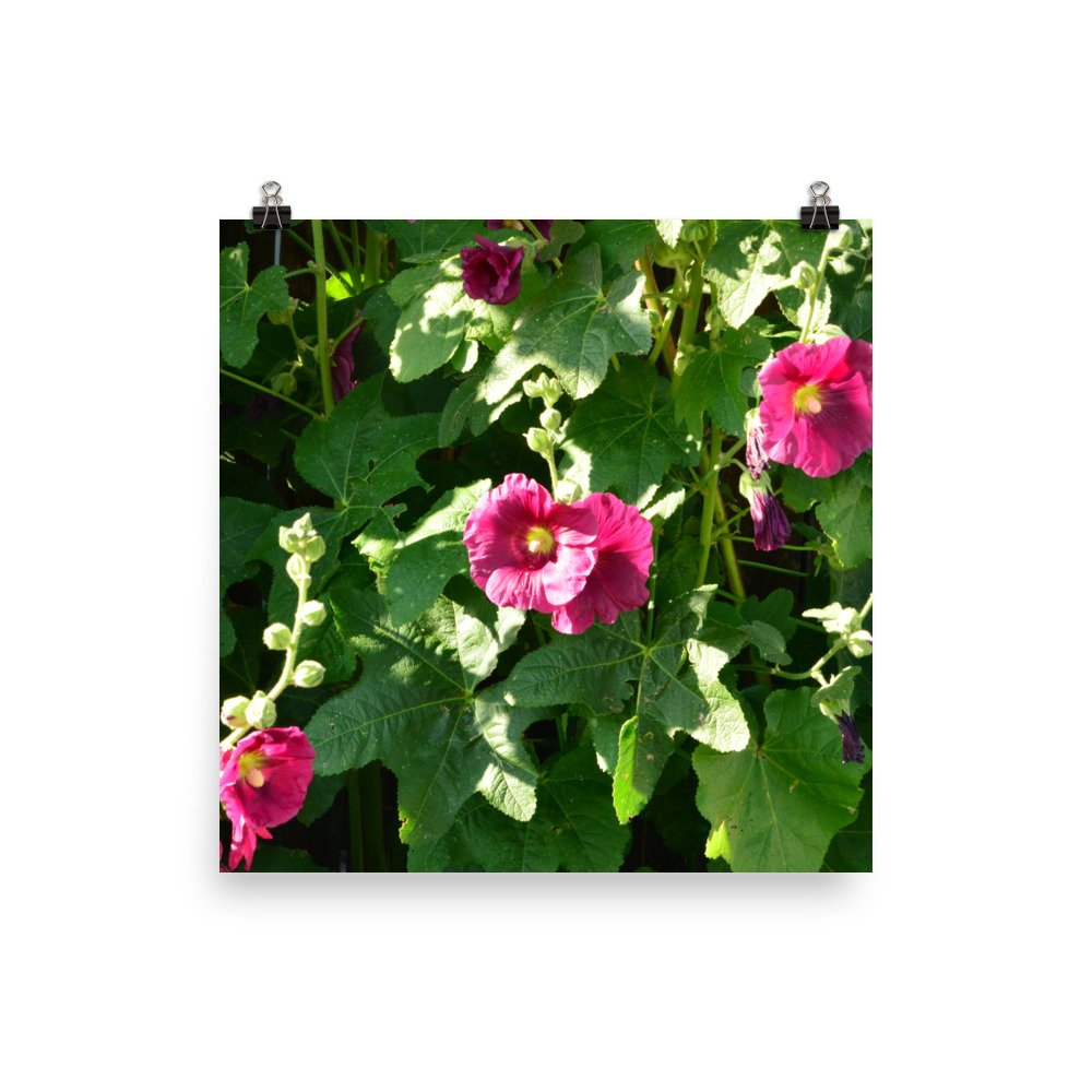 enhanced-matte-paper-poster-(in)-12x12-transparent-65ef912761461.jpg