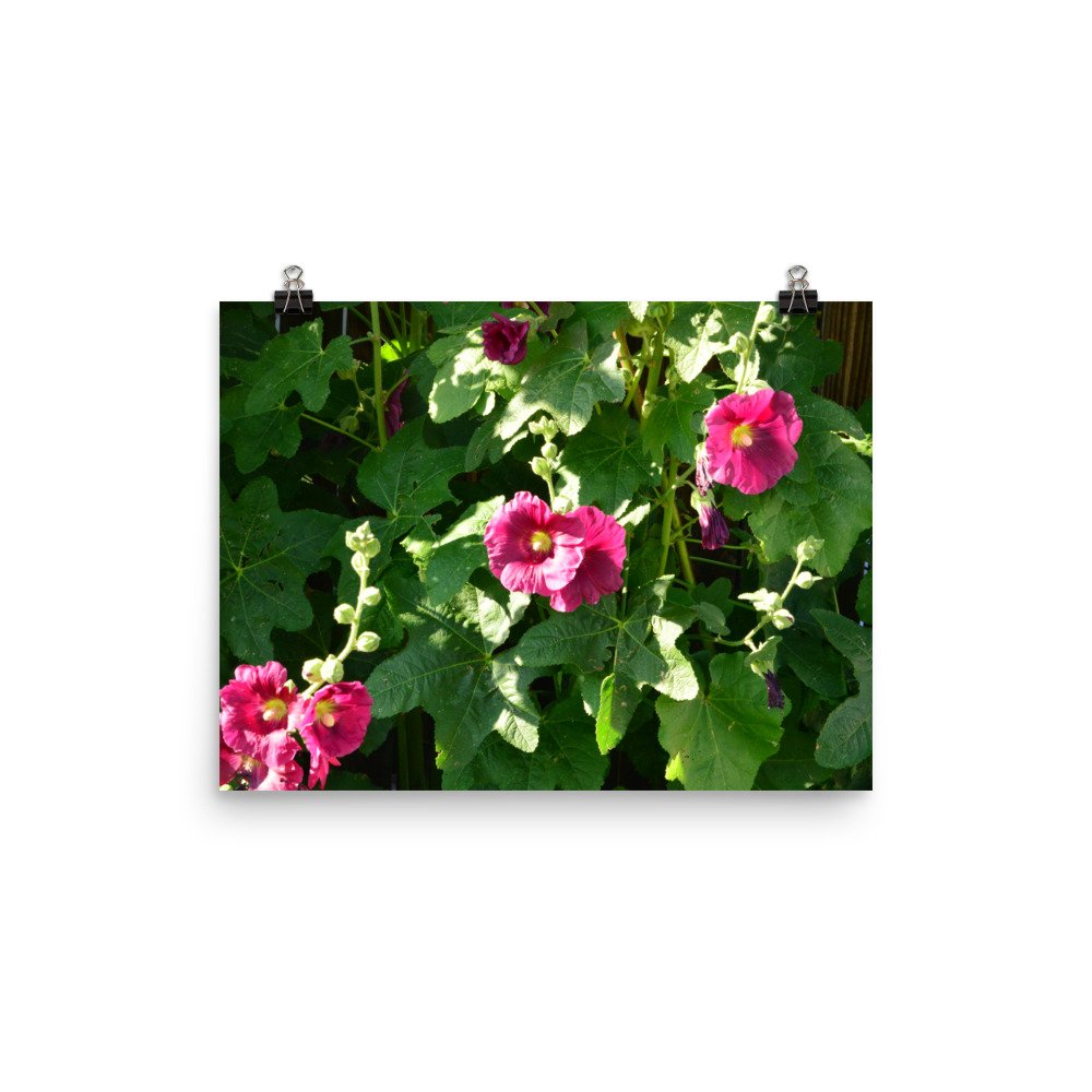 enhanced-matte-paper-poster-(in)-12x16-transparent-65ef9127614df.jpg