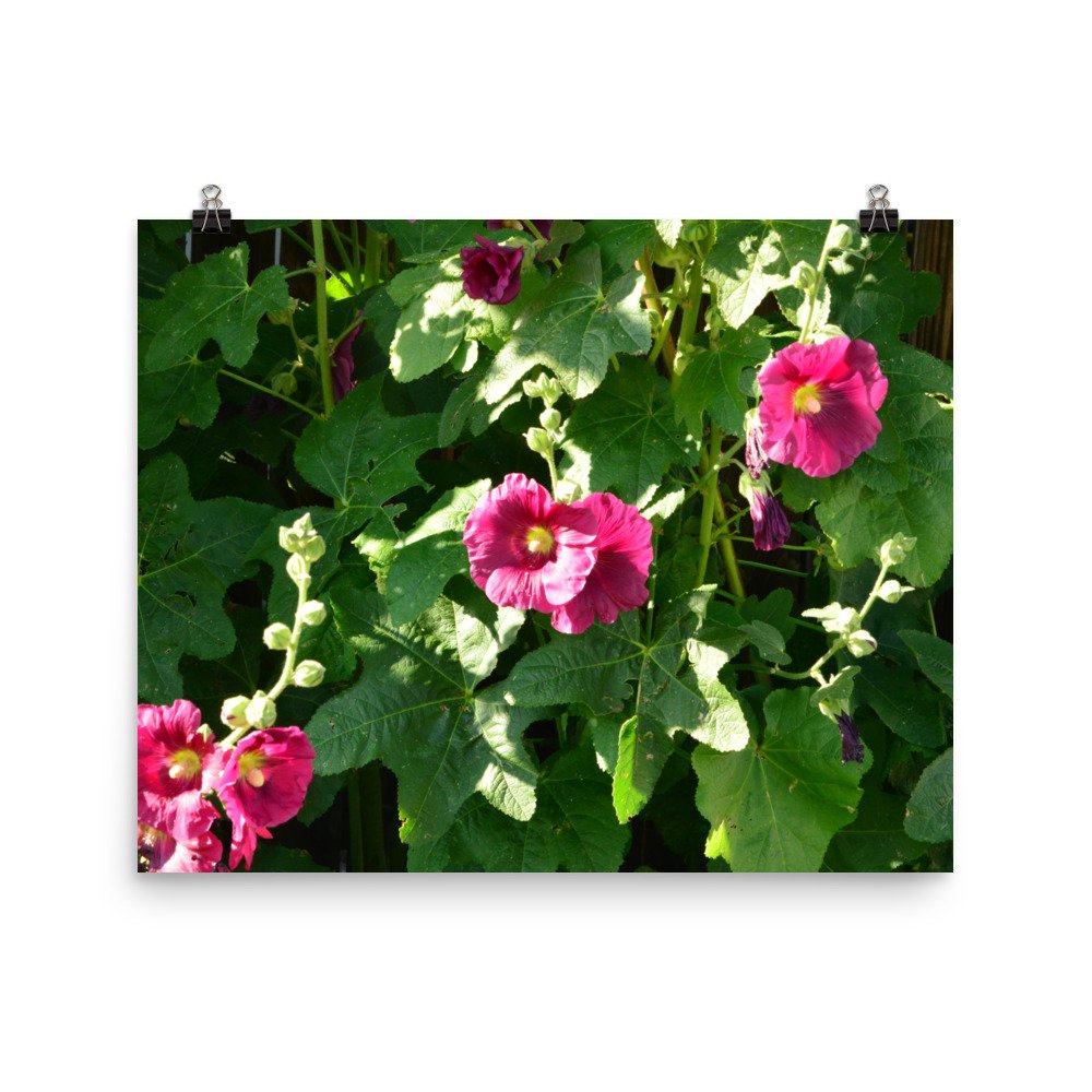 enhanced-matte-paper-poster-(in)-16x20-transparent-65ef9127616ea.jpg