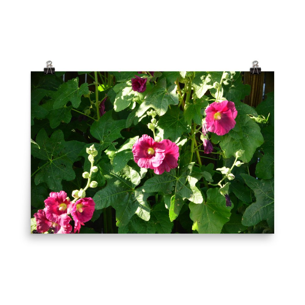 enhanced-matte-paper-poster-(in)-24x36-transparent-65ef91276194c.jpg
