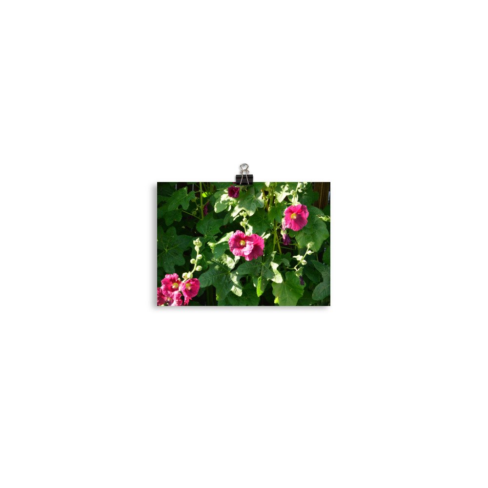 enhanced-matte-paper-poster-(in)-5x7-transparent-65ef912761a26.jpg