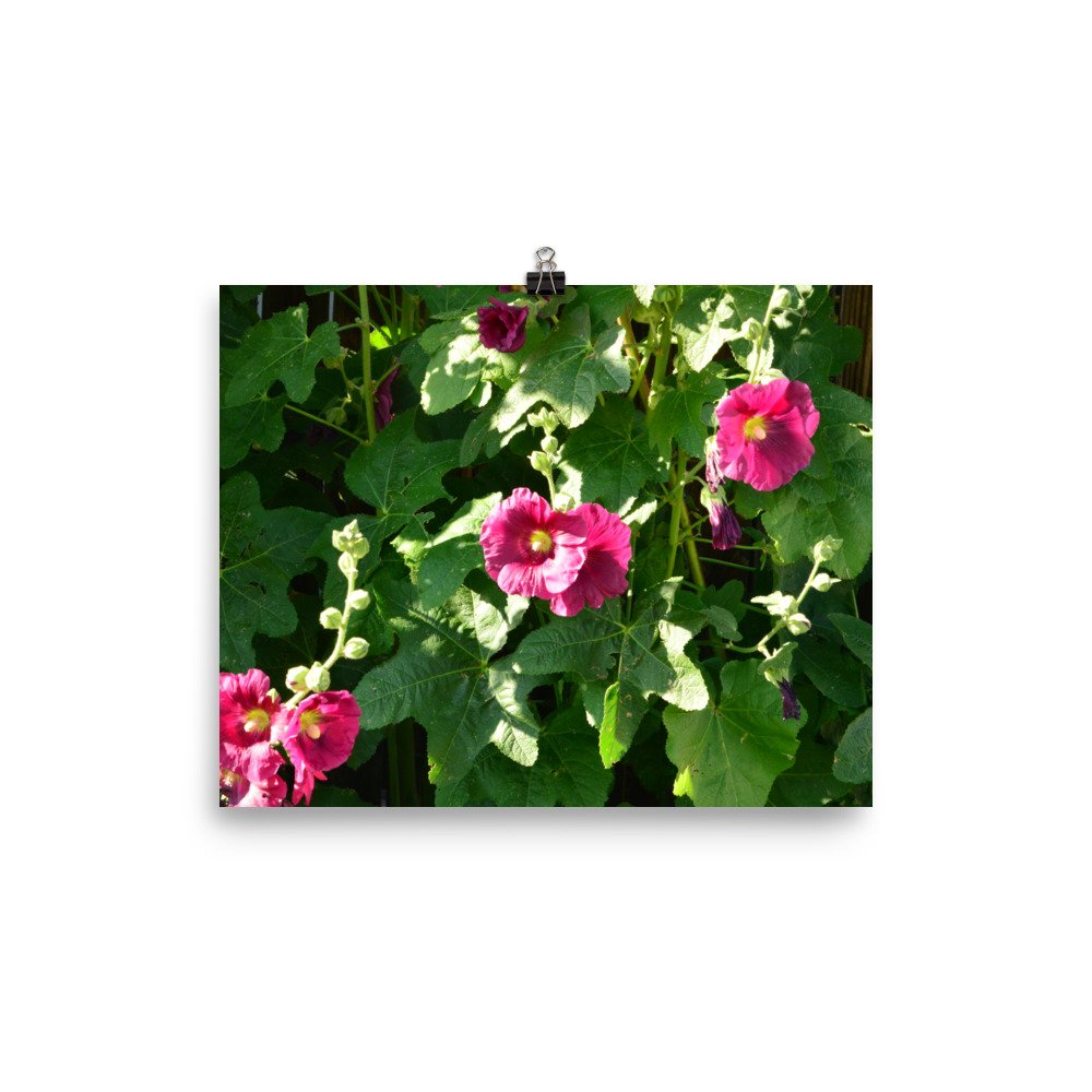 enhanced-matte-paper-poster-(in)-8x10-transparent-65ef912761aa6.jpg