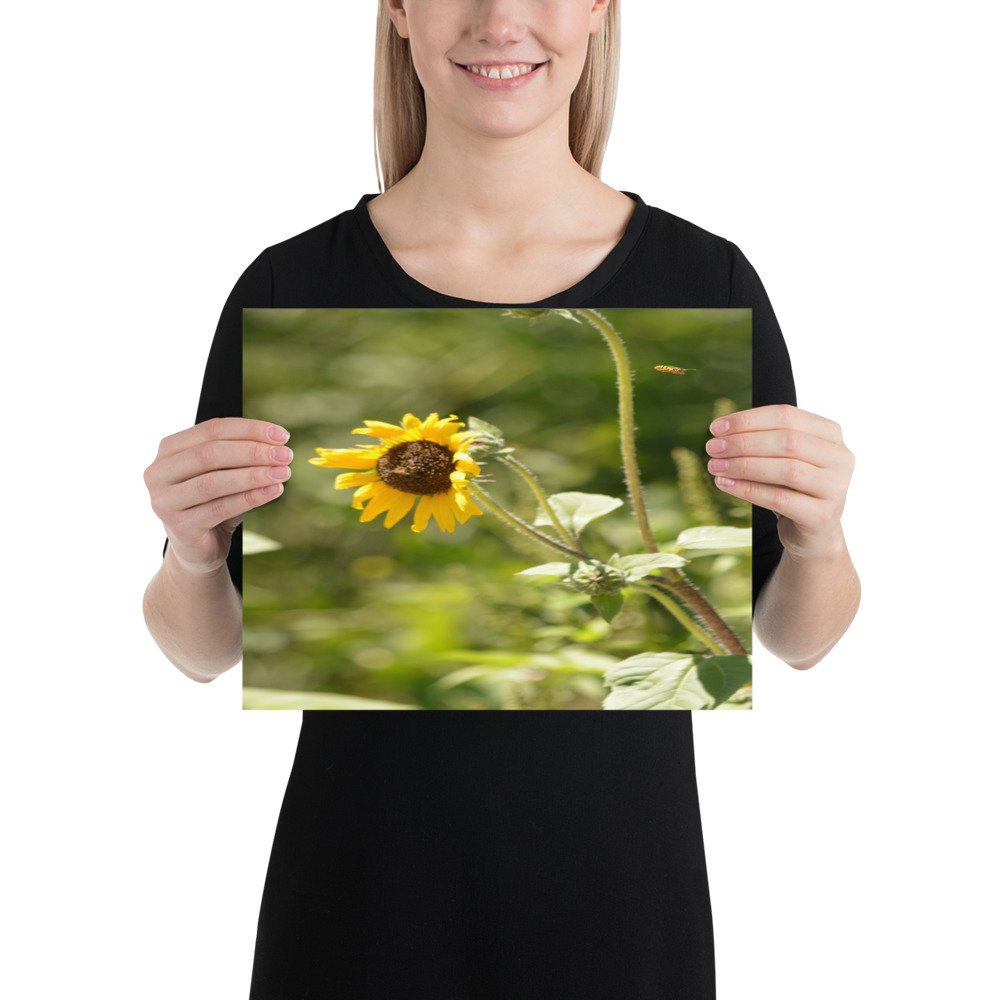 enhanced-matte-paper-poster-(in)-11x14-person-65ef91a7b58e0.jpg