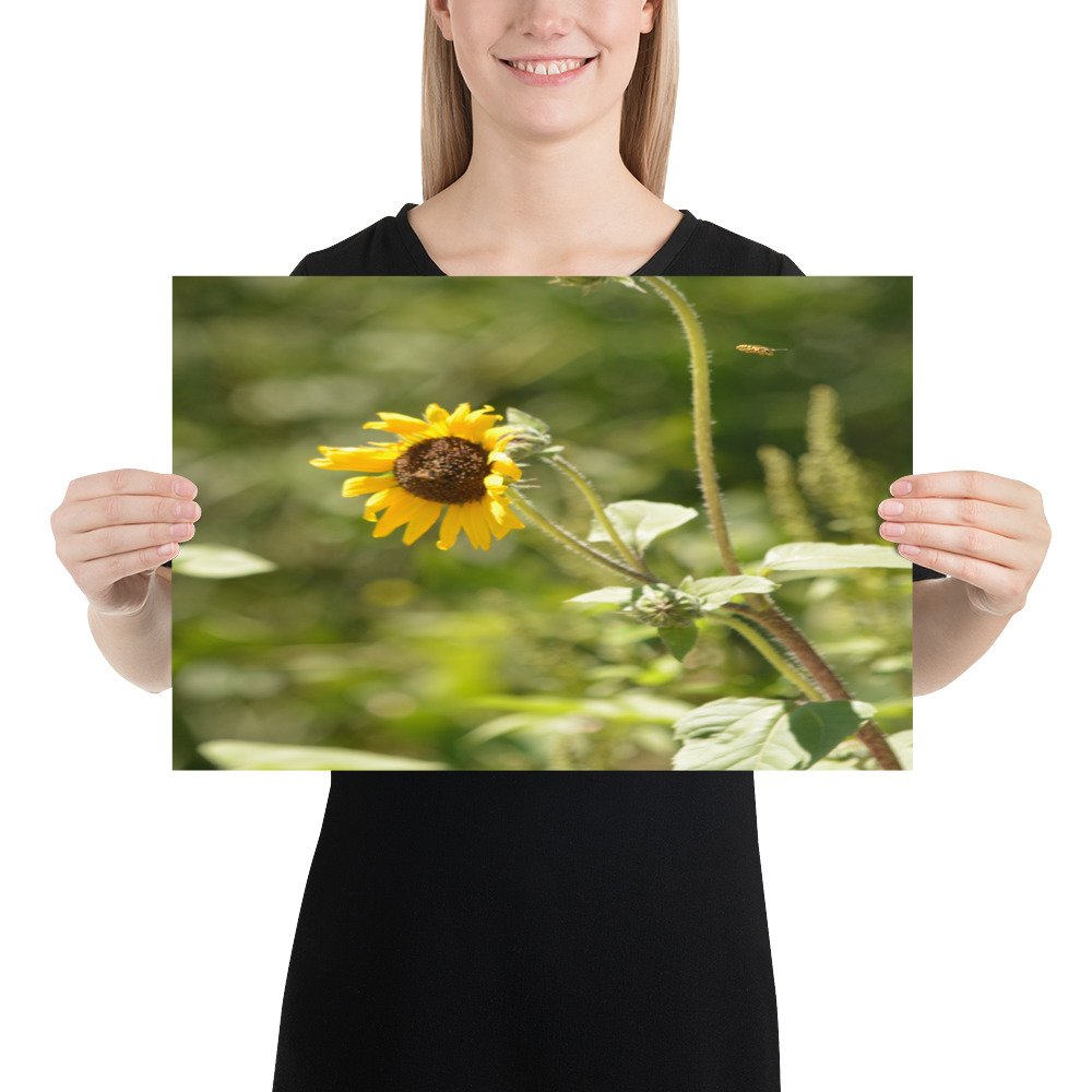 enhanced-matte-paper-poster-(in)-12x18-person-65ef91a7b5ac7.jpg