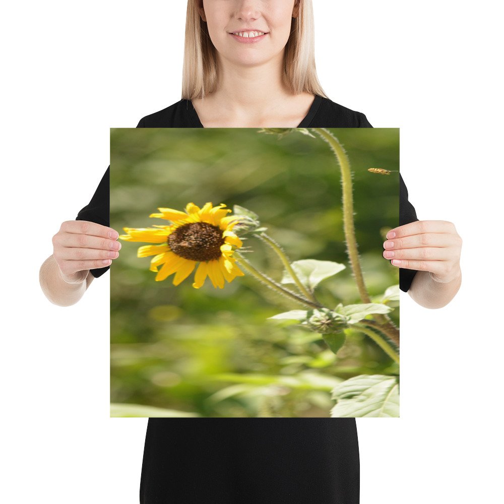 enhanced-matte-paper-poster-(in)-16x16-person-65ef91a7b5b96.jpg