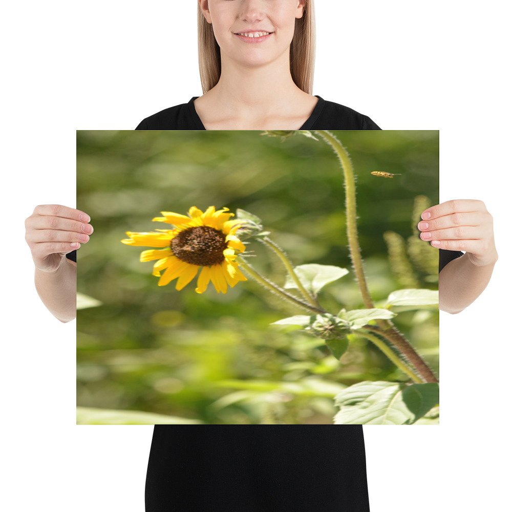 enhanced-matte-paper-poster-(in)-16x20-person-65ef91a7b5c8d.jpg