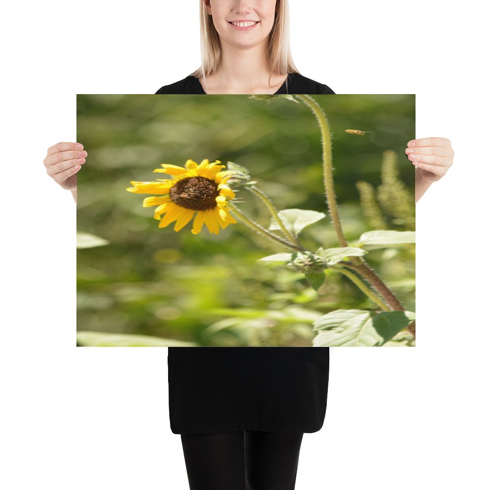 enhanced-matte-paper-poster-(in)-18x24-person-65ef91a7b5d88.jpg