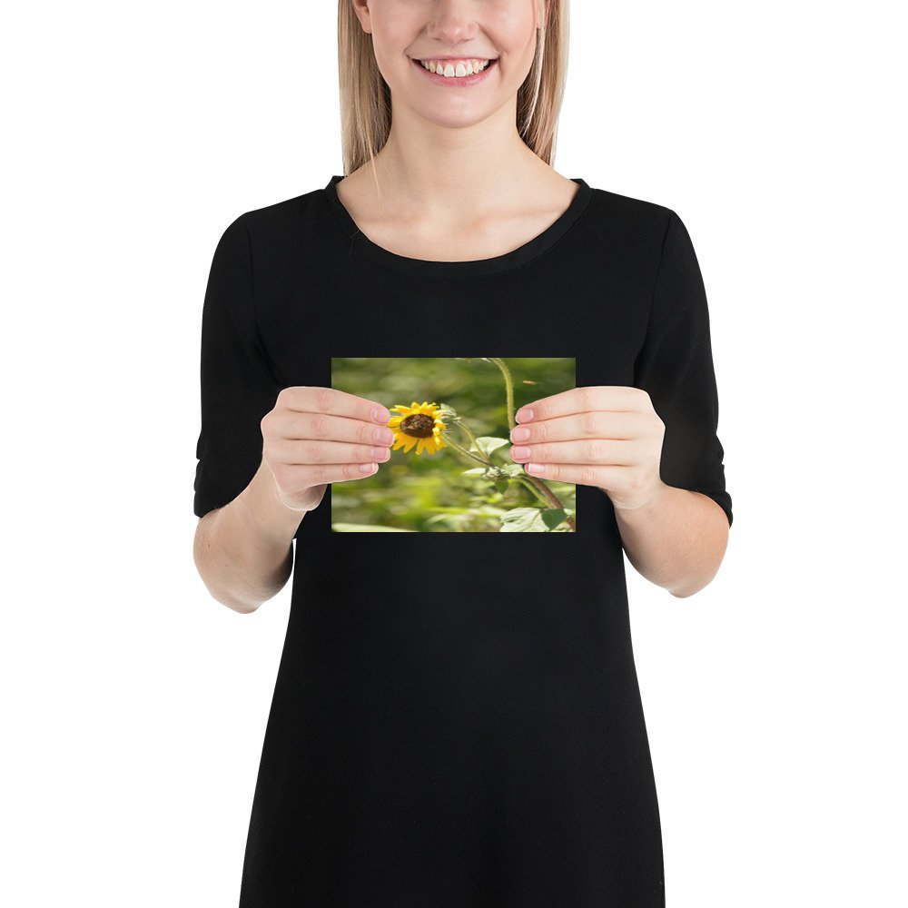 enhanced-matte-paper-poster-(in)-5x7-person-65ef91a7b5f9a.jpg