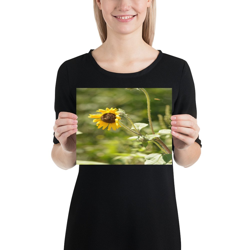 enhanced-matte-paper-poster-(in)-8x10-person-65ef91a7b607d.jpg