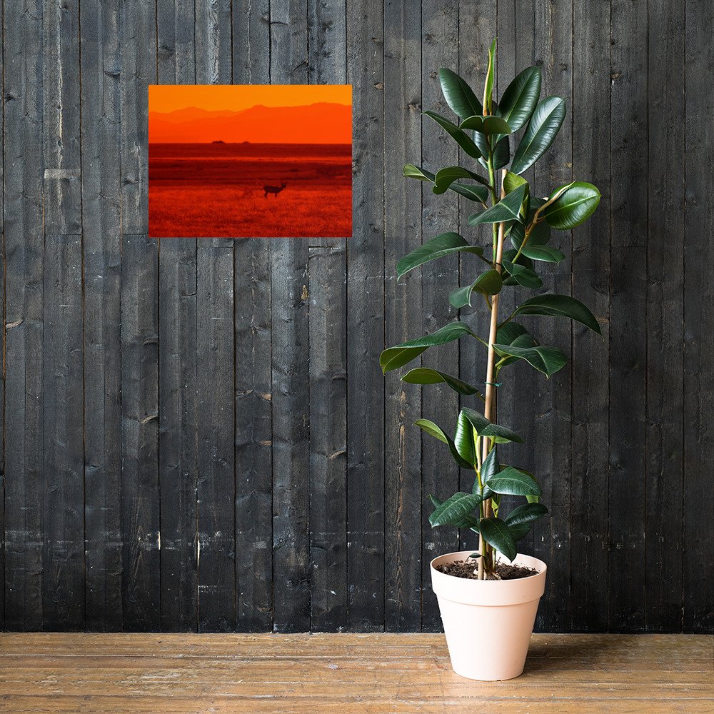 enhanced-matte-paper-poster-(in)-18x24-lifestyle-2-65ef9df9b11cf.jpg