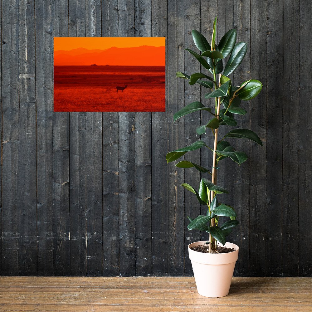 enhanced-matte-paper-poster-(in)-20x30-lifestyle-2-65ef9df9b12f3.jpg