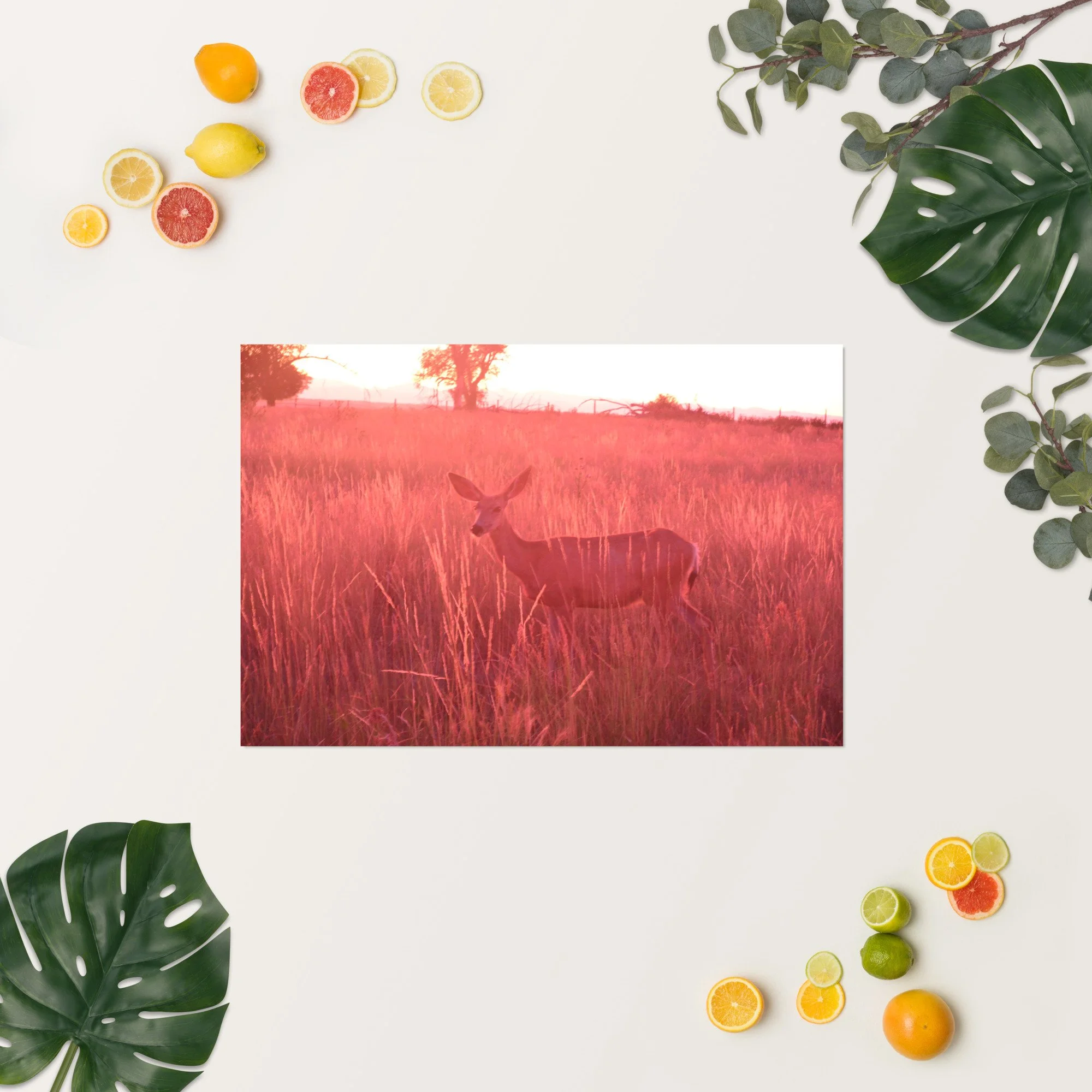 enhanced-matte-paper-poster-(in)-20x30-springsummer-65ef9eadda390.jpg