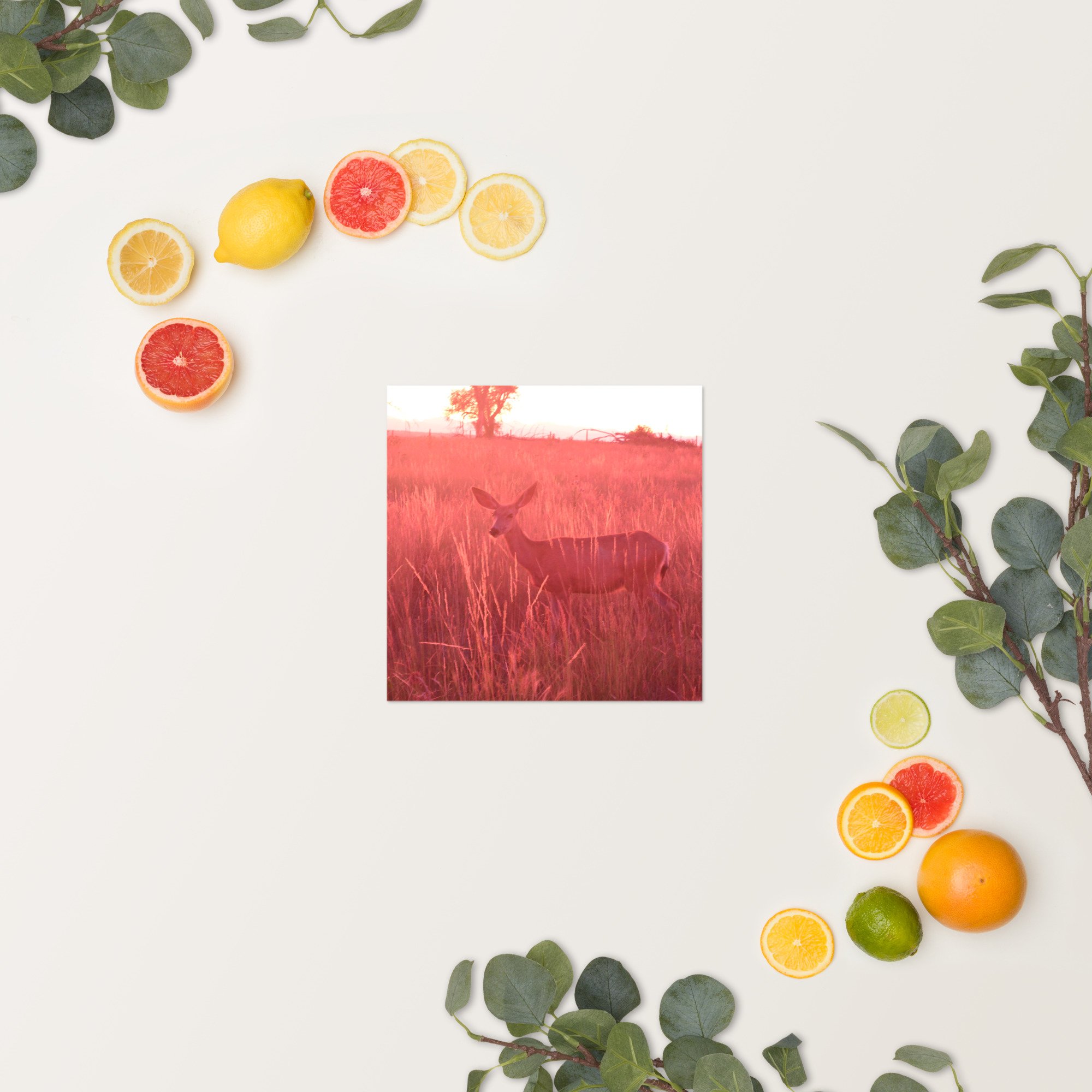 enhanced-matte-paper-poster-(in)-10x10-springsummer-65ef9eaddb729.jpg