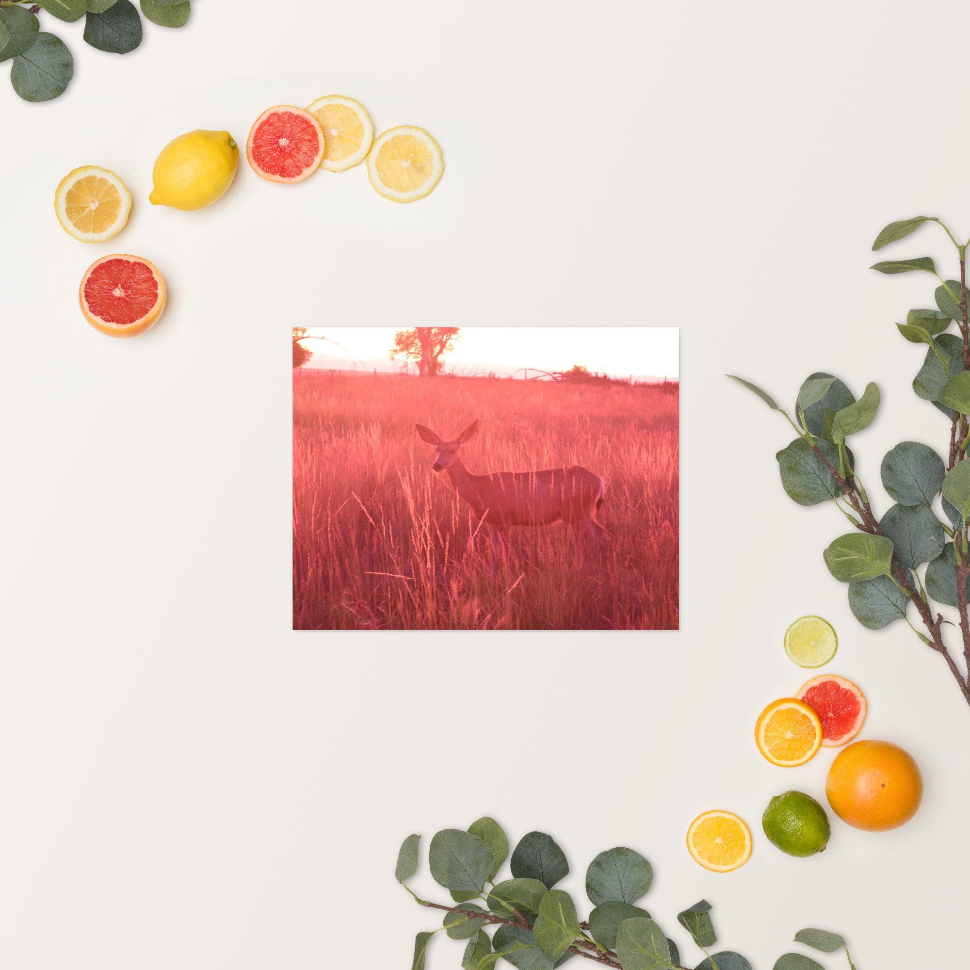 enhanced-matte-paper-poster-(in)-11x14-springsummer-65ef9eaddb7b8.jpg