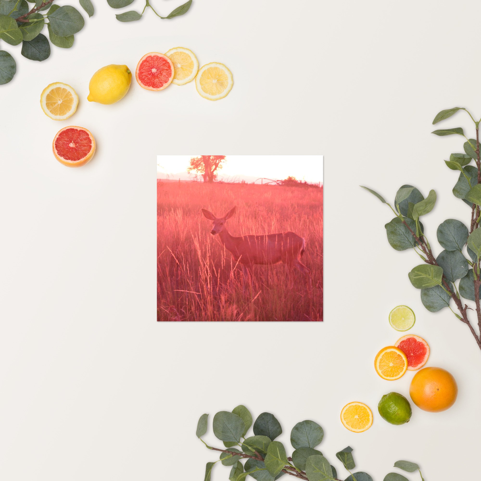 enhanced-matte-paper-poster-(in)-12x12-springsummer-65ef9eaddb850.jpg
