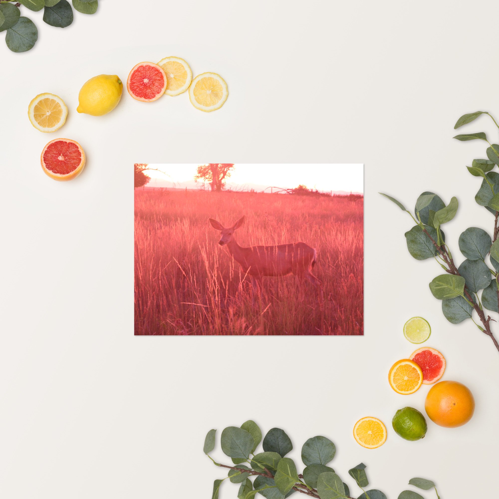 enhanced-matte-paper-poster-(in)-12x16-springsummer-65ef9eaddb8cd.jpg