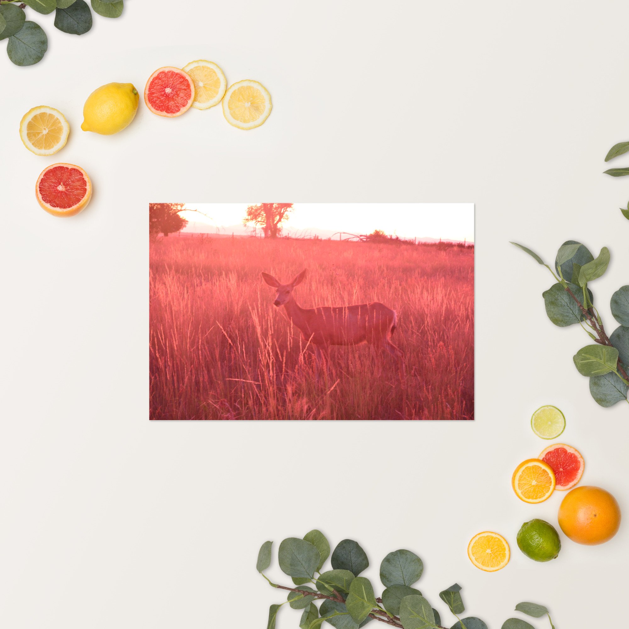 enhanced-matte-paper-poster-(in)-12x18-springsummer-65ef9eaddb93e.jpg