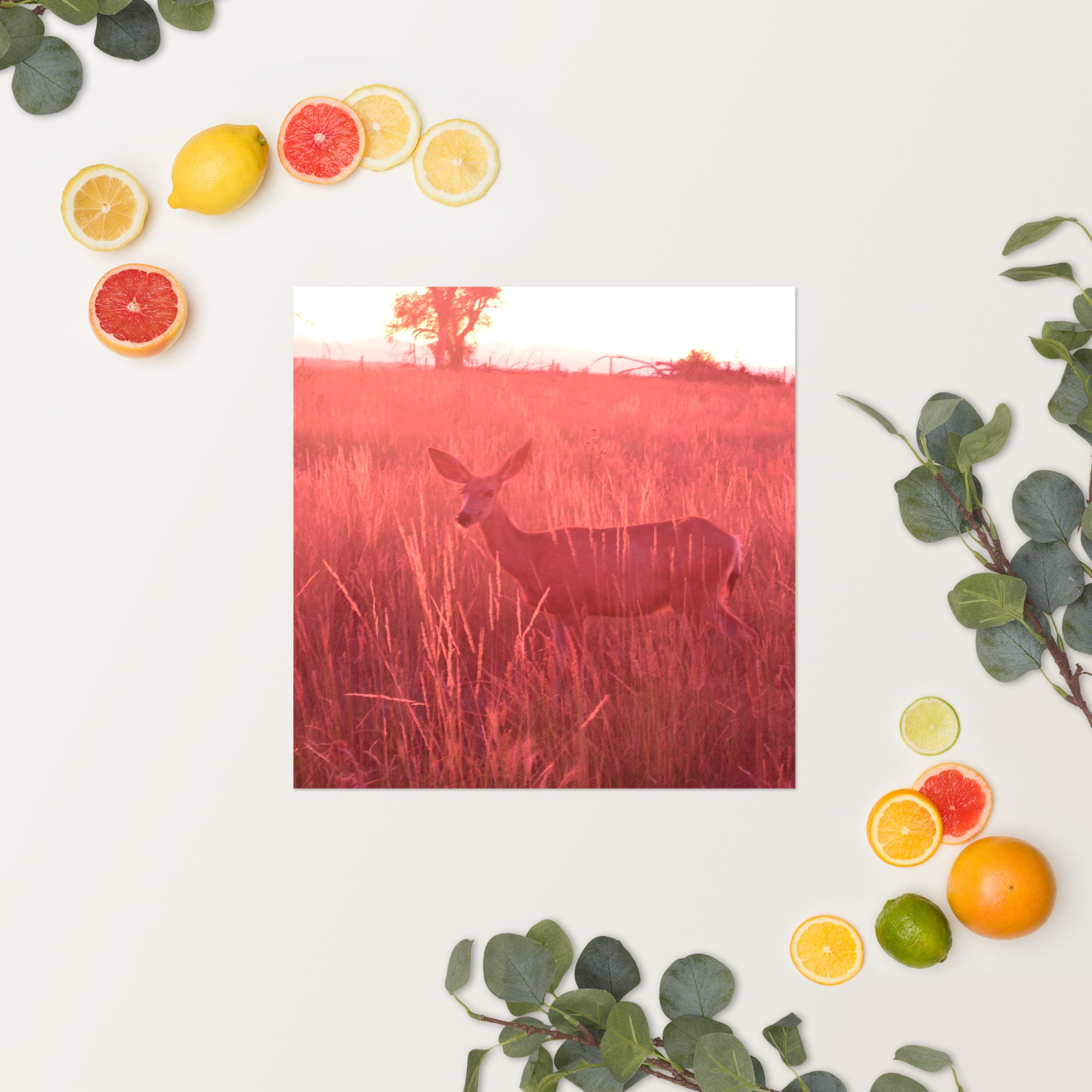 enhanced-matte-paper-poster-(in)-16x16-springsummer-65ef9eaddba19.jpg