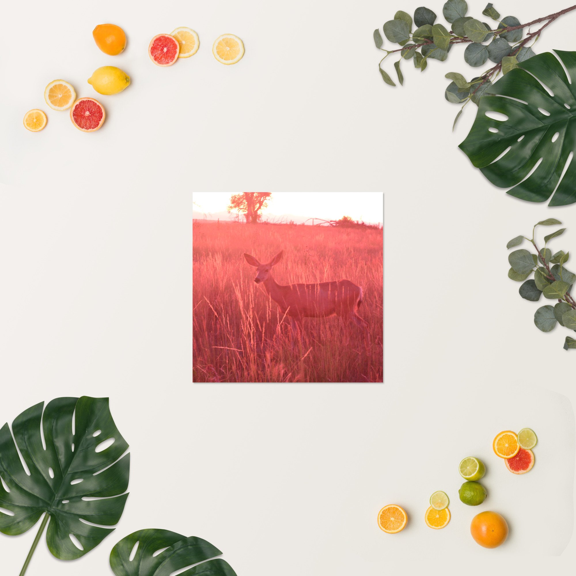enhanced-matte-paper-poster-(in)-18x18-springsummer-65ef9eaddbb37.jpg