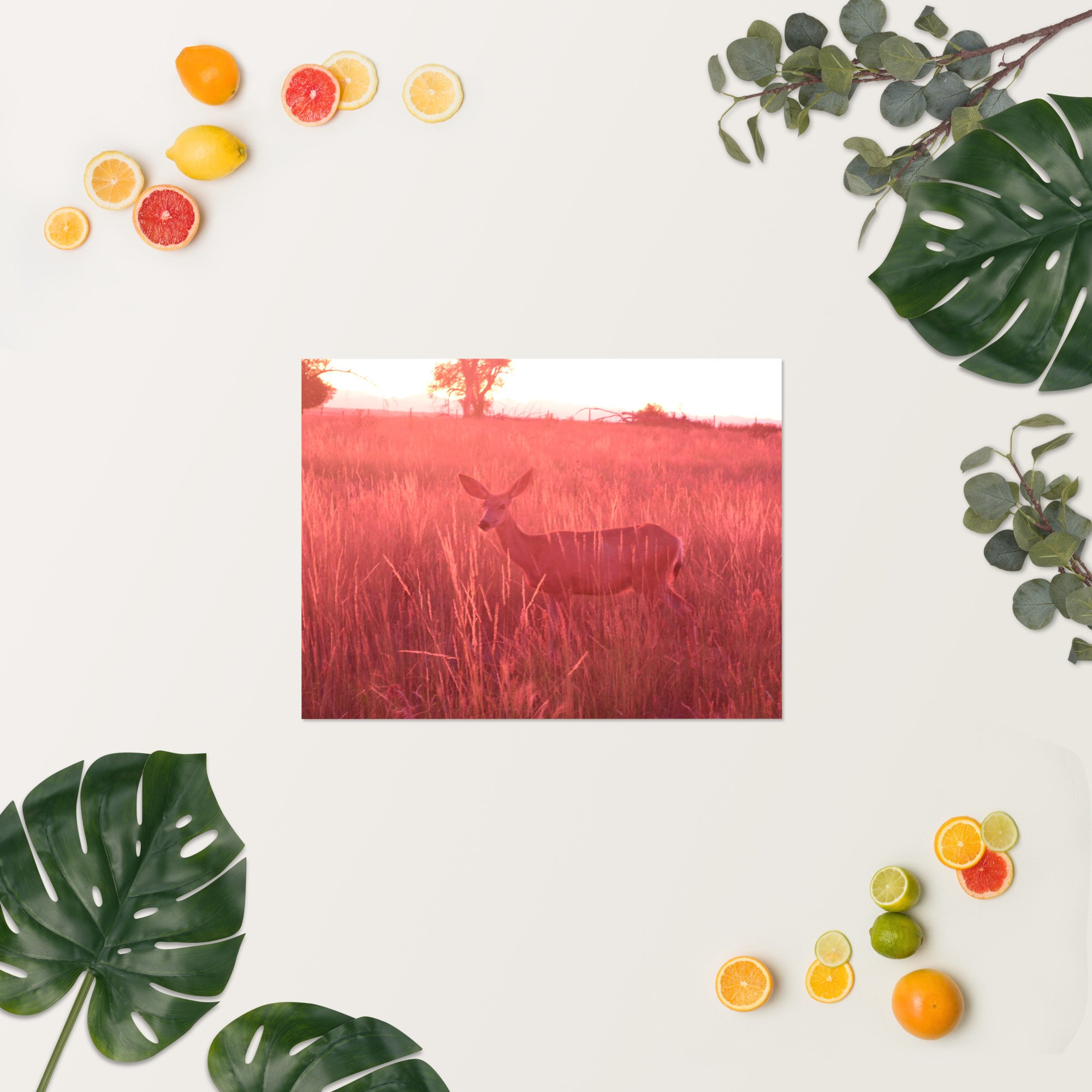 enhanced-matte-paper-poster-(in)-18x24-springsummer-65ef9eaddbbe6.jpg