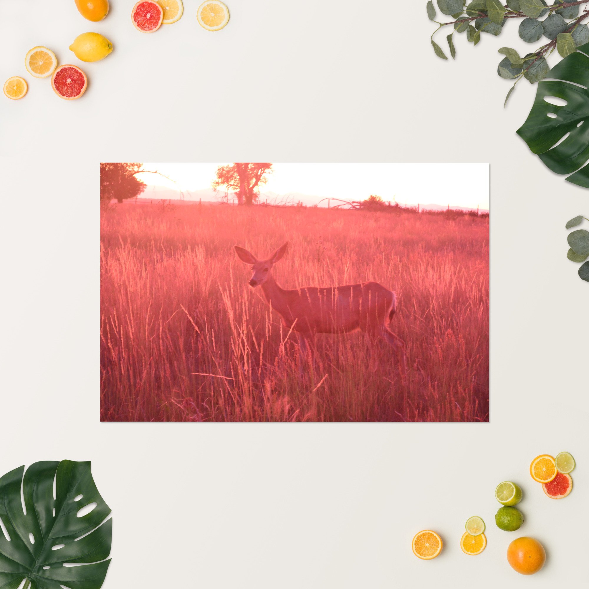 enhanced-matte-paper-poster-(in)-24x36-springsummer-65ef9eaddbcf3.jpg