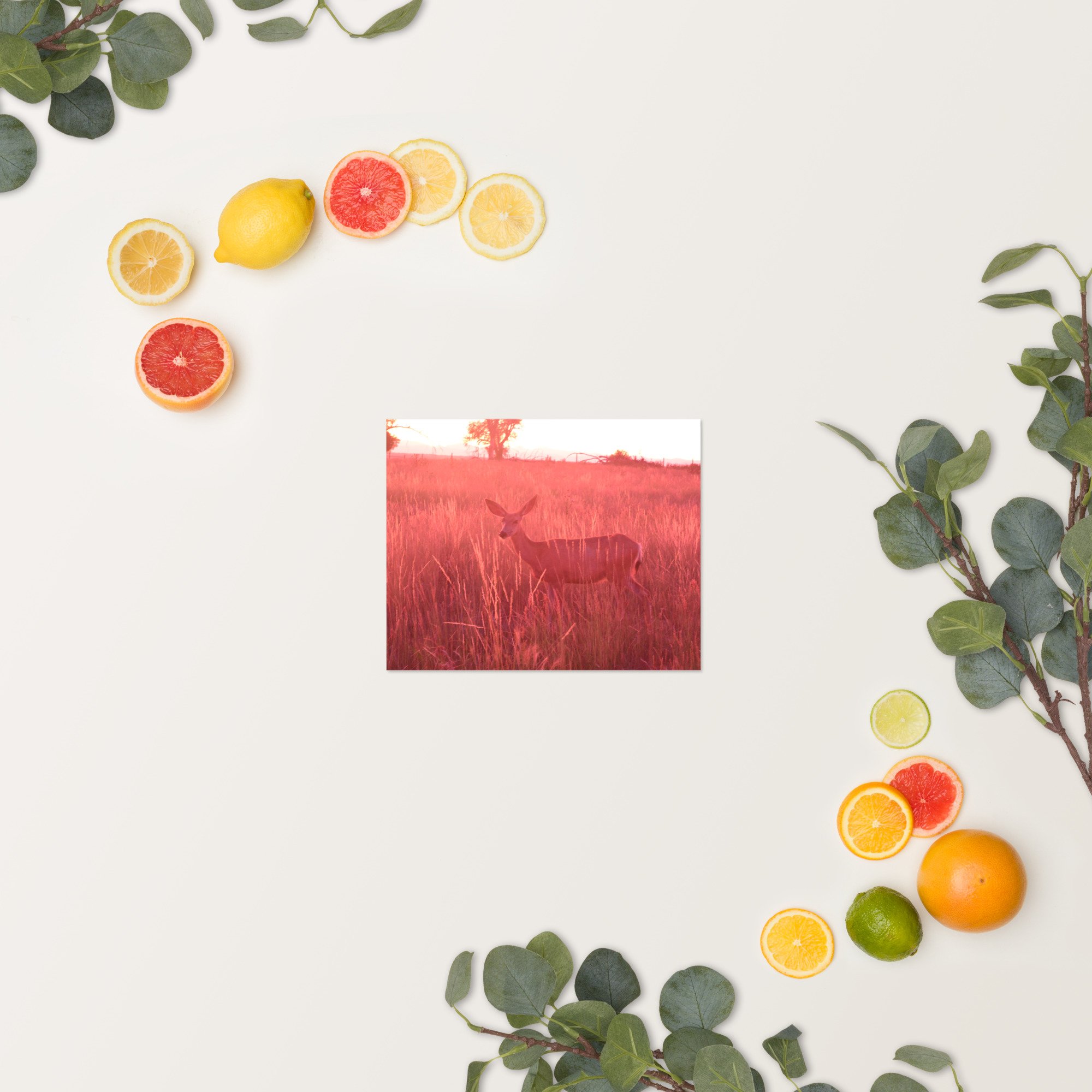 enhanced-matte-paper-poster-(in)-8x10-springsummer-65ef9eaddbde2.jpg